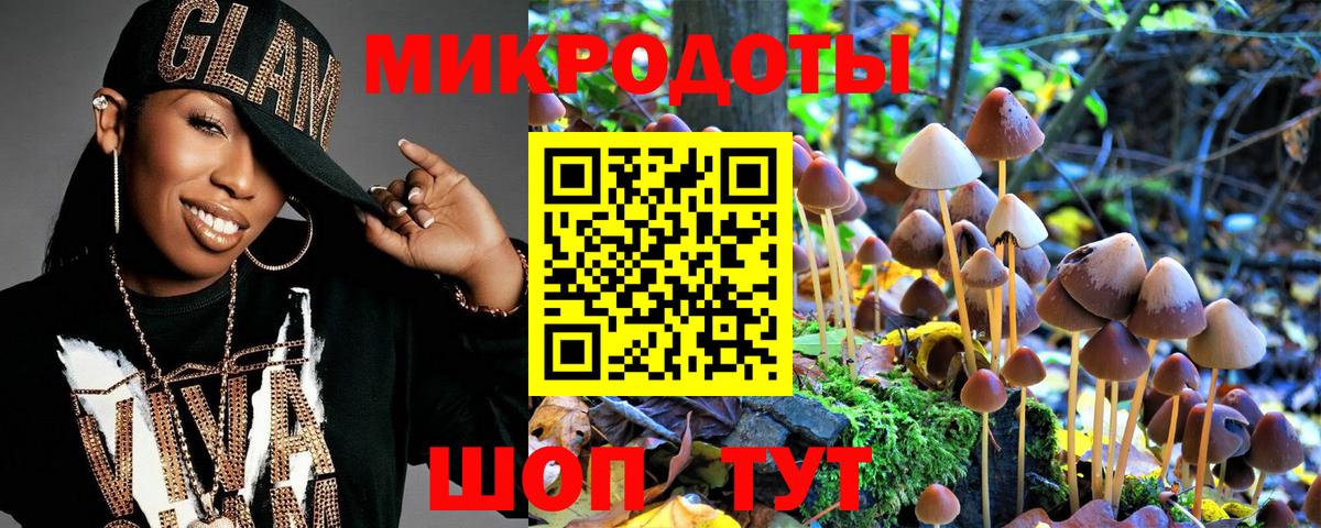 Галлюциногенные грибы Psilocybine cubensis  Вход с VPN  Нальчик 