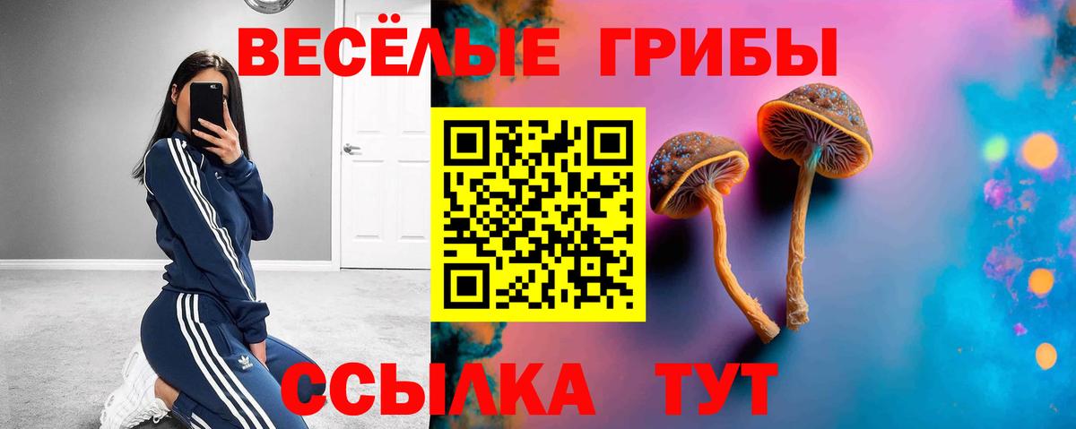 Псилоцибиновые грибы GOLDEN TEACHER Нальчик